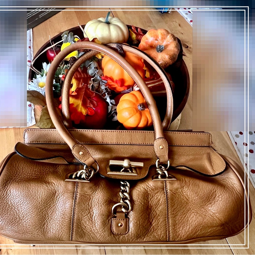 Charles David bag with lovely details. Includes the storage bag! Gently used.